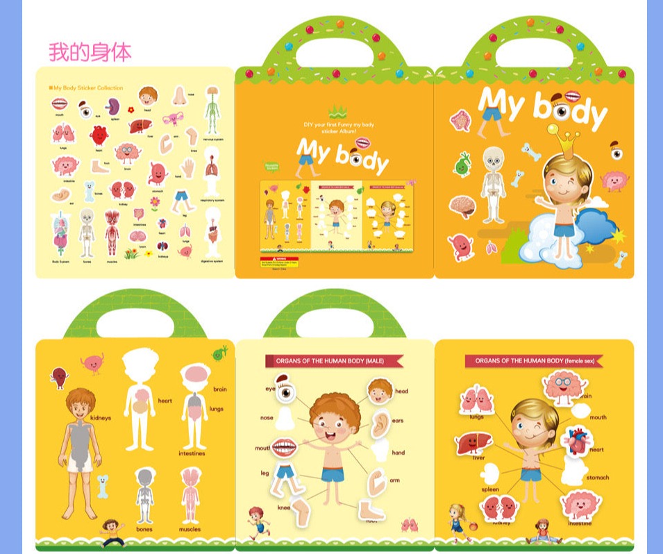 Double-Sided Design Reusable Sticker Book for Kids - My Body